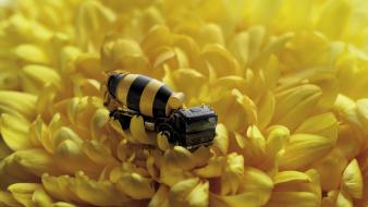Bees wallpaper