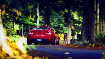 Forest cars wallpaper