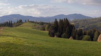 Green landscapes nature wallpaper