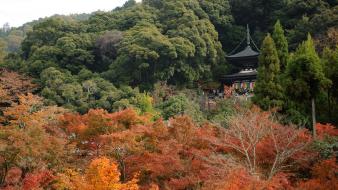 Japan forest buildings wallpaper