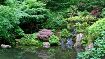 Japan landscapes forest wallpaper