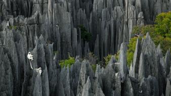 Landscapes nature animals national geographic wallpaper