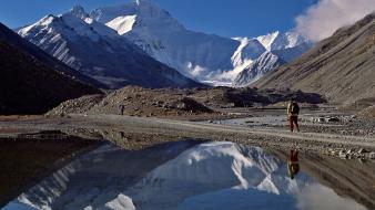 Landscapes nature animals national geographic wallpaper
