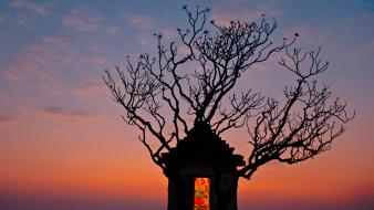 Landscapes nature animals national geographic wallpaper