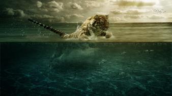 Nature tigers split-view wallpaper