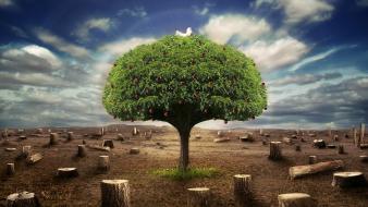 Nature trees artwork desktopography skyscapes land wallpaper