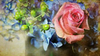 Paintings flowers wallpaper