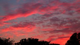 Sunset clouds trees red wallpaper