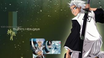 Bleach hitsugaya toshiro wallpaper