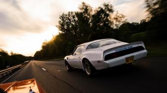 Cars pontiac firebird trans am wallpaper