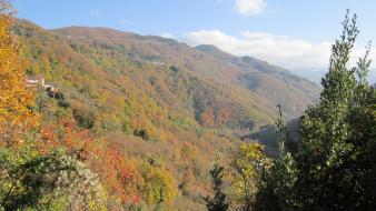 Green mountains landscapes nature trees view wallpaper