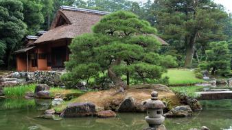 Japan trees garden wallpaper