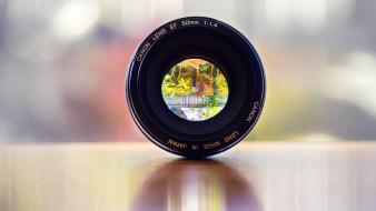 Lens canon wallpaper