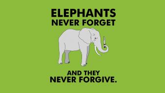 Minimalistic humor funny knives elephants simple background green wallpaper