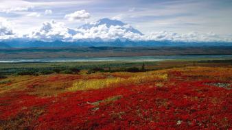 Nature alaska brilliant national park colors wallpaper
