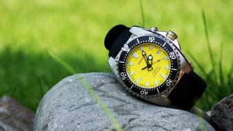 Yellow grass stones swatch watch wallpaper