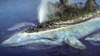 Fantasy art islands whales blue whale sea wallpaper