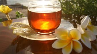 Flowers sunlight drinks lemons plumeria wallpaper