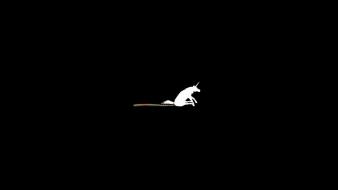 Minimalistic crap humor unicorns funny horses poop wallpaper