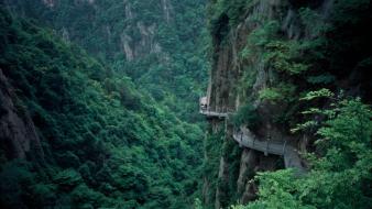 Mountains landscapes trees forest china asia wallpaper