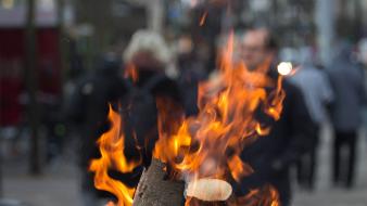 Nature love burning wallpaper