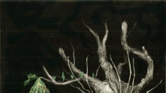 Santiago caruso artwork leaves surreal art trees wallpaper