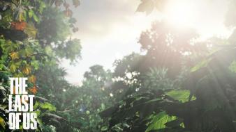 The last of us wallpaper
