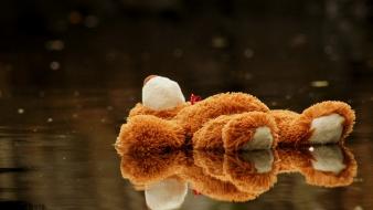 Water toys (children) stuffed animals reflections wallpaper