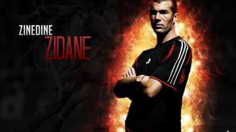 Zinedine zidane wallpaper