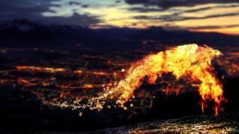 Animals fire phoenix lava fantasy art photomanipulation wallpaper