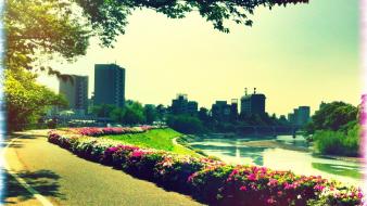 Green landscapes cityscapes wallpaper