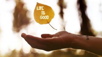 Love life union wallpaper