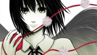 Video games touhou short hair shameimaru aya tengu wallpaper