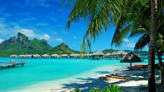 Water nature sand palm trees sea wallpaper