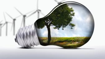 Abstract trees fields light bulbs windmills wallpaper