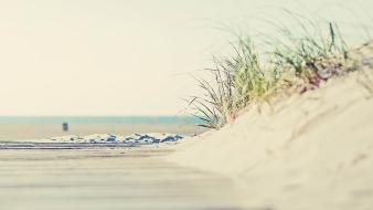 Beach way wallpaper