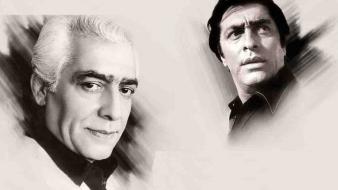 Mohammad ali fardin iranian artist wallpaper