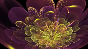 Multicolor fractals digital art wallpaper
