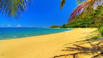 Nature beach sand golden sea wallpaper