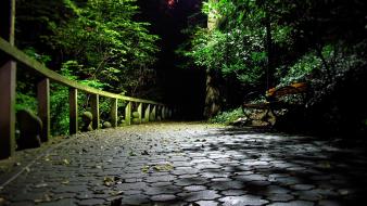 Nature night walk romania parks wallpaper