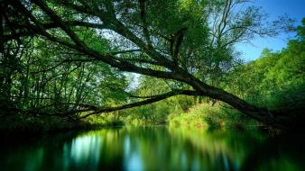 Nature wallpaper