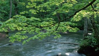 Nature waterfalls wallpaper