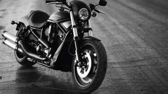Night harley special rod wallpaper