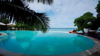 Palm trees swimming pools wallpaper