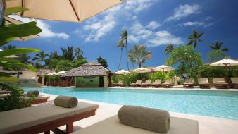 Palm trees swimming pools wallpaper