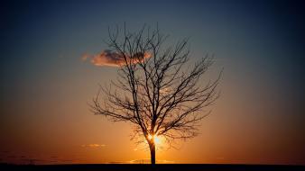 Sunset clouds trees wallpaper