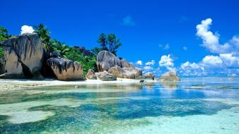 Water clouds beach rocks palm trees wallpaper