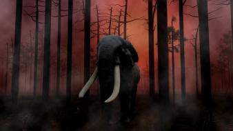 Forest animals elephants wallpaper