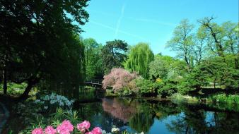 Japanese gardens wallpaper