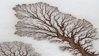 Landscapes desert patterns mexico national geographic rivers wallpaper